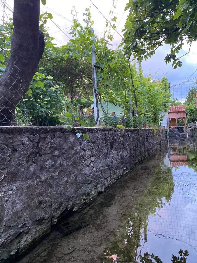 Bujtina Gjyshi Ilo Hotell Tushemisht Exteriör bild