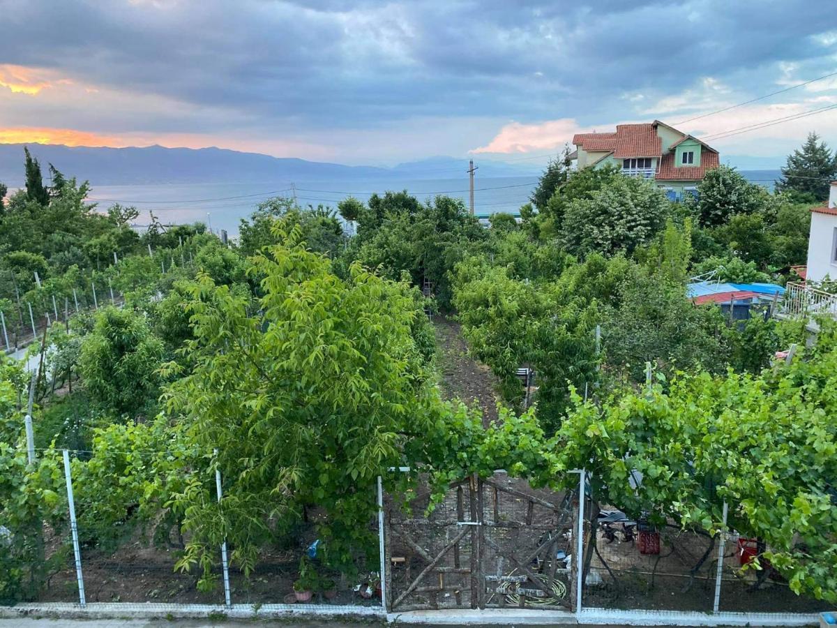 Bujtina Gjyshi Ilo Hotell Tushemisht Exteriör bild
